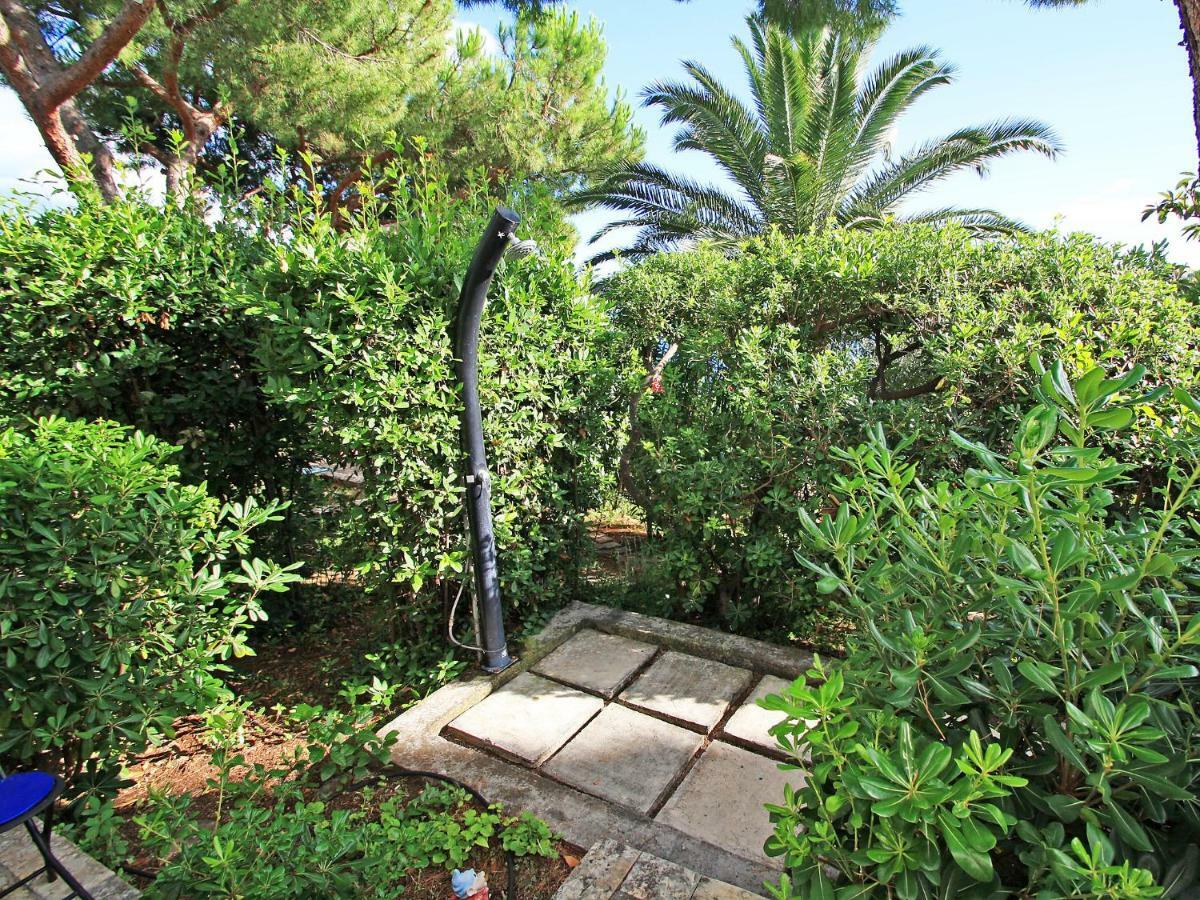Apartment Amiela By Interhome Τρογκίρ Εξωτερικό φωτογραφία